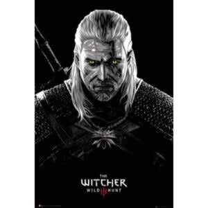 The Witcher poster