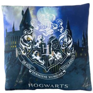 Harry Potter Hogwarts pyjamazak/kussen