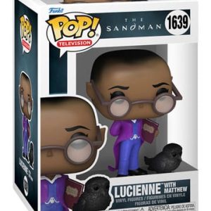 lucienne-with-matthew-funko-1639-pop-the-sandman-netflix-findingcollectables